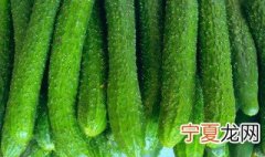 无公害蔬菜的种植方法 无公害蔬菜的种植方法简述