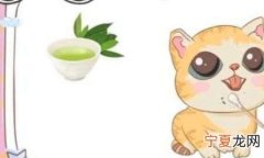 如何帮猫咪清除黑下巴，猫咪黑下巴该如何治疗呢