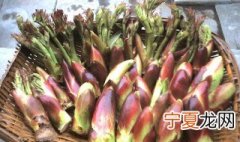 刺老芽可以冷冻保存吗 冷冻两年的刺老芽能吃吗