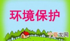 十个保护环境的方法 分别有哪些