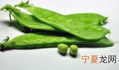 荷兰豆种植时间和方法 荷兰豆种植时间和方法简述