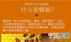 蜂胶怎样储存 怎样储存蜂胶
