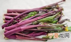 红菜苔如何保鲜 红菜苔如何保存