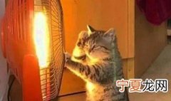 衣服被小太阳烤焦了怎么办 棉袄被小太阳烤糊了怎么办