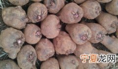 魔芋为什么会麻手 芋头让人手麻的原因