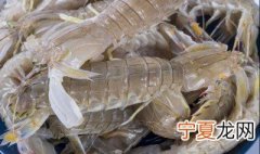 皮皮虾怎么保存好 皮皮虾的保存方法