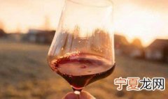 怎么辨别红酒真假好坏 红酒怎样辨别真假好坏