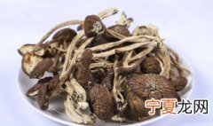茶树菇开伞和不开伞哪个好 茶树菇开伞好还是不开伞好