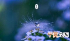 寒露是啥意思 寒露意思简述