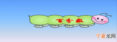 5个百分点是多少，100的五个百分点是多少