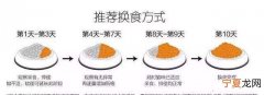 猫用十日观察法，严家新谈十日观察法