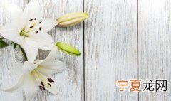 百合适合什么季节种植 百合花应该在什么季节种