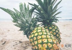 菠萝可以放冰箱冷藏吗 菠萝这样保存时间最久
