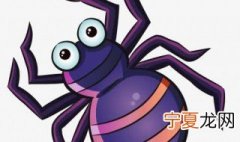 孕妇梦见蜘蛛是什么意思 孕妇梦见蜘蛛有什么意思