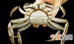 生海蟹怎么保存 生海蟹保存方法是什么