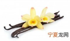 香草荚怎么保存时间长 香草荚怎么保存