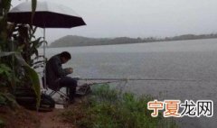 下雨天适合钓鱼吗 下雨了到底适不适合去钓鱼
