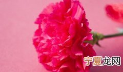 如何让康乃馨保持新鲜 怎么让康乃馨保持新鲜