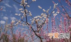 阳光明媚是描写什么季节的 阳光明媚是春季吗