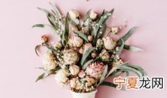 香雪兰鲜切花如何保鲜 香雪兰鲜切花怎样保鲜