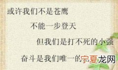 打不死的小强励志词句 打不倒的小强励志句子推荐