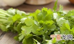 自家如何种香菜 在家里种香菜该怎么种?