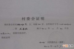 村委会开亲属关系证明是否有效