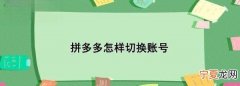 拼多多如何切换账号，拼多多怎样切换账号登录