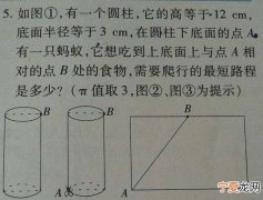 圆柱的高是长方形的什么，圆柱的高等于长方形的什么?