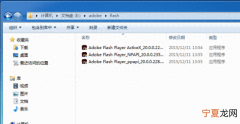 activex flash和ppap flash哪一个好
