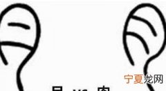 月字旁在下边的字有哪些字，“月”字旁在下面的字有哪些