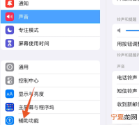 ipad如何调出小圆点图标，ipad的小圆点怎么能调出来
