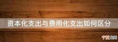 费用化支出什么意思