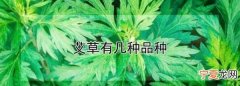 艾草有几种有什么区别，艾草有几种品种图片大全