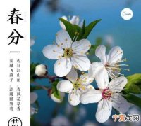 春分有哪些花会开，春分节气适合种什么菜