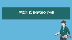 在我国关于社保补缴最多有几个月