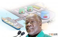 lng坦桑尼亚,坦桑尼亚lng项目