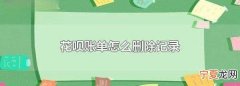 花呗账单明细如何删除，蚂蚁花呗借呗起诉我了怎么办