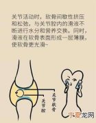 波凌盖儿是指哪里