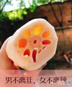 女不离藕下一句是什么