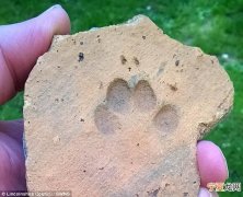 英国林肯郡建筑工地发掘出1900年历史的罗马时期砖块 猫脚印清晰可见
