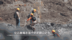 “拆盲盒”拆出六亿年前“海绵宝宝”：中国科学家发现6亿年前原始海绵动物