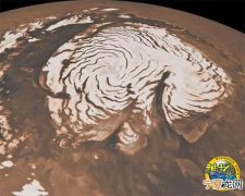 细菌通过DNA修复或复制可幸存于火星环境