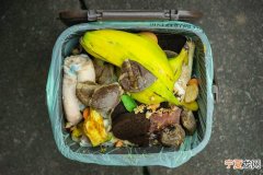 联合国环境署：全球每年浪费近10亿吨食物