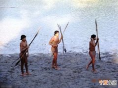 秘鲁土著遭伐木者攻击逃往巴西寻找武器及盟友