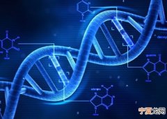 英国牛津大学研究指出人类基因中大部分并无实际功能
