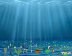 中外古生物学者研究发现早在6亿年前 海洋深处已经出现大规模氧化