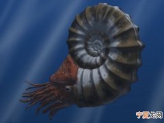 2.52亿年前生物大灭绝和复苏之谜