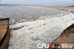 黄河山西临猗段出现大面积流凌