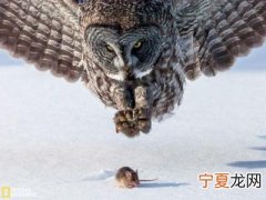 天文学家发现了像银河一样的螺旋星系的祖先